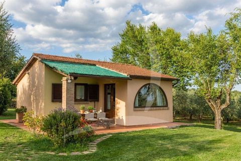 Farm hus i Scansano, Grosseto, Scansano - € 630.000 | Ref: A1190RC28342-1090101 - foto 5