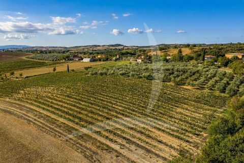 Farm hus i Scansano, Grosseto, Scansano - € 630.000 | Ref: A1190RC28342-1090101 - foto 9
