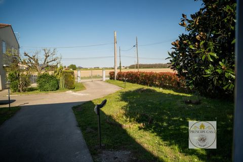 Villa a Este, Padua, Este - € 265.000 | Ref: SE235 - foto 3