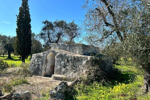 Villa i Carovigno, Brindisi, Carovigno - € 1.300.000 | Ref: 552-1094018 - foto 11