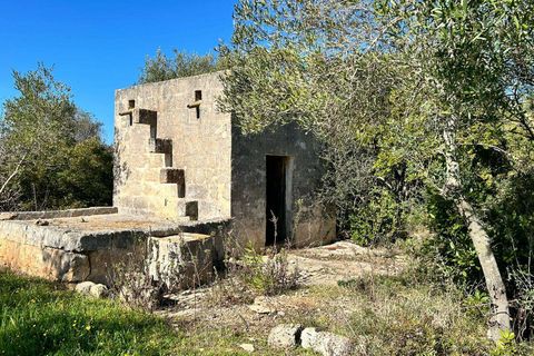 Villa i Carovigno, Brindisi, Carovigno - € 1.300.000 | Ref: 552-1094018 - foto 12
