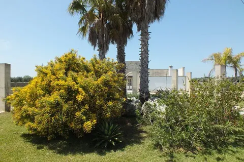 Villa i Torre dell'Orso, Lecce, Torre dell'Orso - € 1.850.000 | Ref: 391-1094251 - foto 18