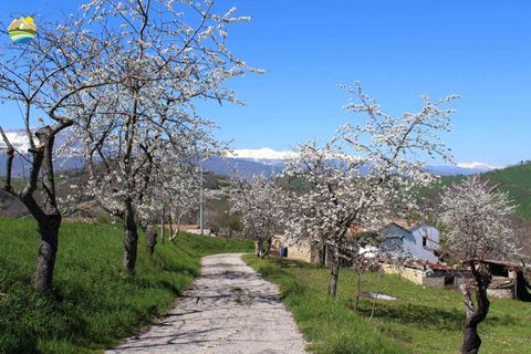 Villa a Castelli, Teramo, Castelli - € 70.000 | Ref: EL1158-1115350 - foto 5