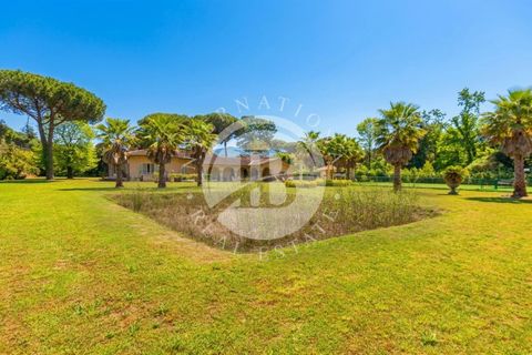 Villa a Massa, Massa and Carrara, Massa - € 4.500.000 | Ref: IB 832 - foto 10