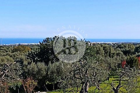 Villa i Monopoli, Bari, Monopoli - € 2.600.000 | Ref: SI 1 - foto 20