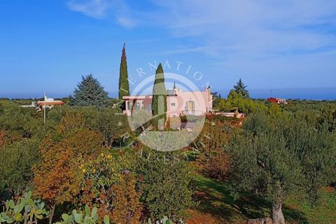Villa i Monopoli, Bari, Monopoli - € 2.600.000 | Ref: SI 1 - foto 21