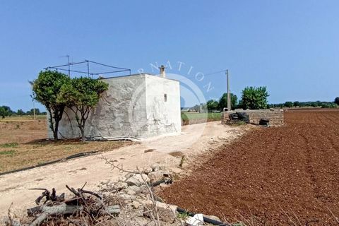 Villa i Fasano, Brindisi, Fasano - € 600.000 | Ref: SI 36 - foto 2