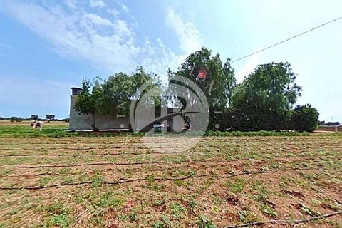 Villa i Fasano, Brindisi, Fasano - € 600.000 | Ref: SI 36 - foto 5