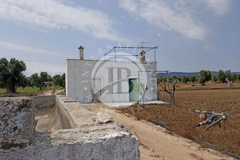 Villa i Fasano, Brindisi, Fasano - € 600.000 | Ref: SI 36 - foto 6
