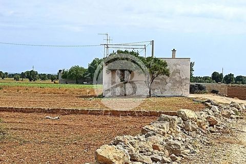 Villa i Fasano, Brindisi, Fasano - € 600.000 | Ref: SI 36 - foto 7