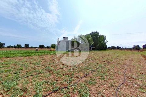 Villa i Fasano, Brindisi, Fasano - € 600.000 | Ref: SI 36 - foto 9