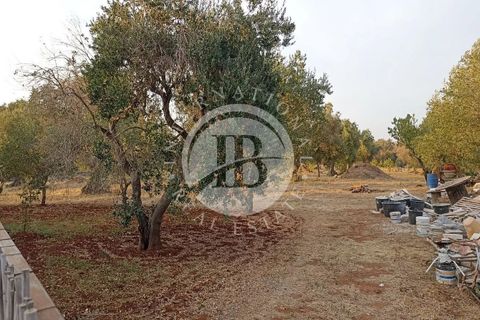 Villa i Ostuni, Brindisi, Ostuni - € 375.000 | Ref: SI 50 - foto 8