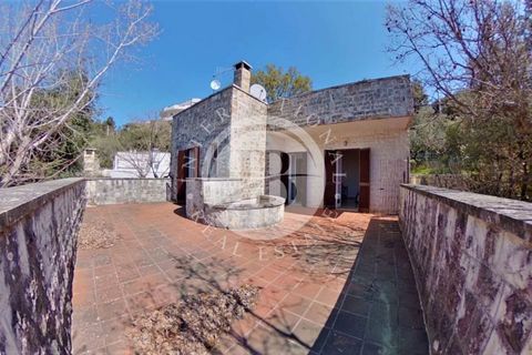 Villa i Fasano, Brindisi, Fasano - € 380.000 | Ref: SI 62 - foto 3