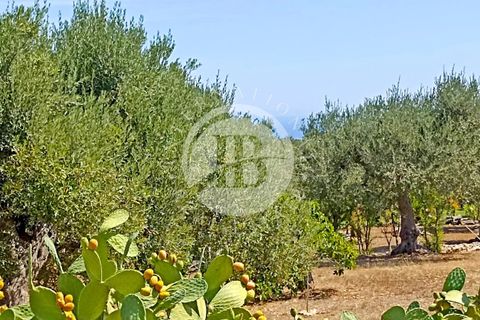 Villa a Monopoli, Bari, Monopoli - € 350.000 | Ref: SI 87 - foto 19