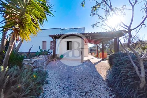 Villa a Monopoli, Bari, Monopoli - € 350.000 | Ref: SI 87 - foto 21
