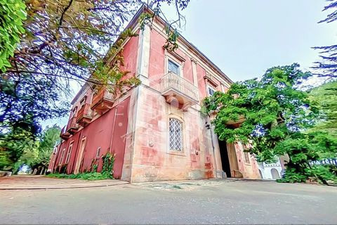 Villa a Noci, Bari, Noci - € 1.780.000 | Ref: SI 89 - foto 2