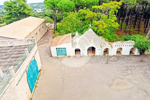 Villa a Noci, Bari, Noci - € 1.780.000 | Ref: SI 89 - foto 13