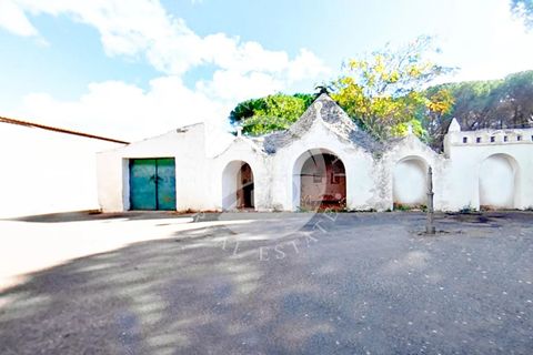 Villa a Noci, Bari, Noci - € 1.780.000 | Ref: SI 89 - foto 15