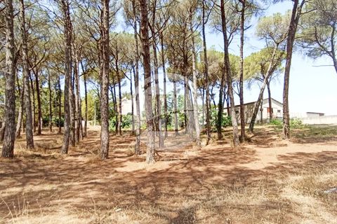 Villa a Noci, Bari, Noci - € 1.780.000 | Ref: SI 89 - foto 16