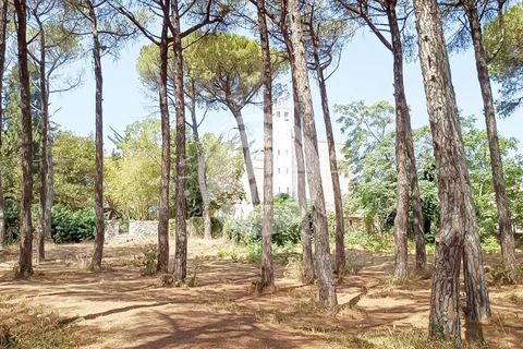 Villa a Noci, Bari, Noci - € 1.780.000 | Ref: SI 89 - foto 17