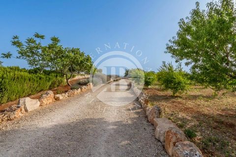Villa a Cisternino, Brindisi, Cisternino - € 1.000.000 | Ref: SI 91 - foto 12