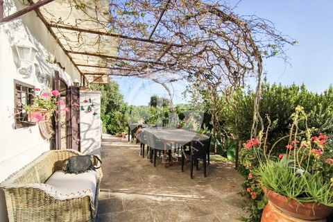 Villa i Fasano, Brindisi, Fasano - € 1.450.000 | Ref: SI 101 - foto 10