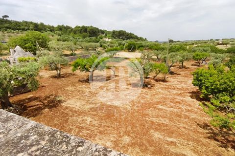 Villa i Alberobello, Bari, Alberobello - € 380.000 | Ref: SI 102 - foto 17