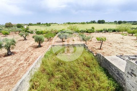Villa i Alberobello, Bari, Alberobello - € 380.000 | Ref: SI 102 - foto 19
