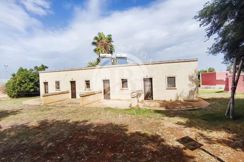 Villa i Monopoli, Bari, Monopoli - € 1.300.000 | Ref: SI 107 - foto 16
