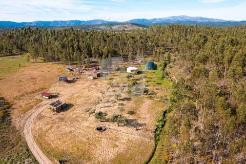 Terra a Ninho do Acor, Castelo Branco, Ninho do Acor - € 100.000 | Ref: H777 - foto 3