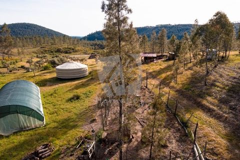 Terra a Ninho do Acor, Castelo Branco, Ninho do Acor - € 100.000 | Ref: H777 - foto 4