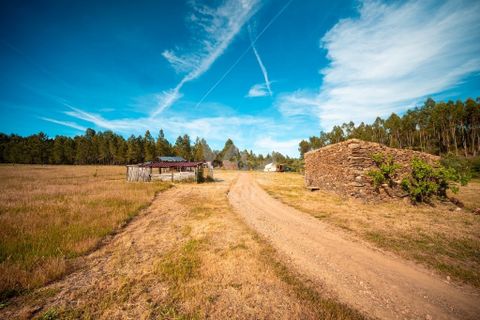 Terra a Ninho do Acor, Castelo Branco, Ninho do Acor - € 100.000 | Ref: H777 - foto 8