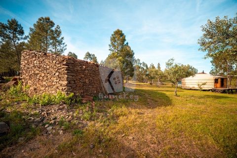 Terra a Ninho do Acor, Castelo Branco, Ninho do Acor - € 100.000 | Ref: H777 - foto 10