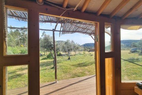 Terra a Ninho do Acor, Castelo Branco, Ninho do Acor - € 100.000 | Ref: H777 - foto 17