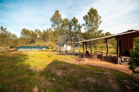 Terra a Ninho do Acor, Castelo Branco, Ninho do Acor - € 100.000 | Ref: H777 - foto 22