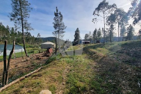 Terra a Ninho do Acor, Castelo Branco, Ninho do Acor - € 100.000 | Ref: H777 - foto 23