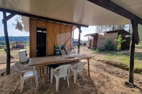 Terra a Ninho do Acor, Castelo Branco, Ninho do Acor - € 100.000 | Ref: H777 - foto 25