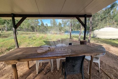 Terra a Ninho do Acor, Castelo Branco, Ninho do Acor - € 100.000 | Ref: H777 - foto 27