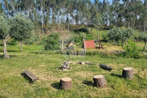 Terra a Ninho do Acor, Castelo Branco, Ninho do Acor - € 100.000 | Ref: H777 - foto 32