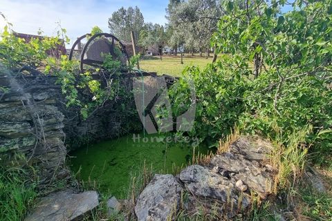 Terra a Ninho do Acor, Castelo Branco, Ninho do Acor - € 100.000 | Ref: H777 - foto 34