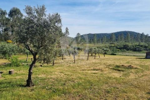 Terra a Ninho do Acor, Castelo Branco, Ninho do Acor - € 100.000 | Ref: H777 - foto 35