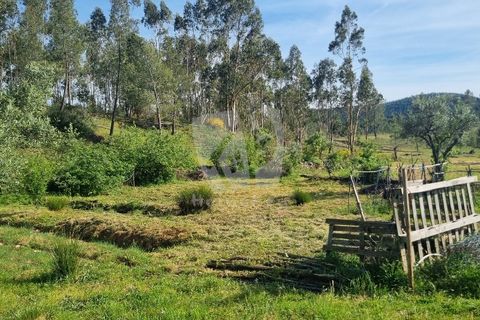 Terra a Ninho do Acor, Castelo Branco, Ninho do Acor - € 100.000 | Ref: H777 - foto 36
