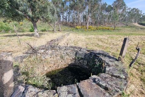 Terra a Ninho do Acor, Castelo Branco, Ninho do Acor - € 100.000 | Ref: H777 - foto 39