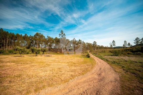 Terra a Ninho do Acor, Castelo Branco, Ninho do Acor - € 100.000 | Ref: H777 - foto 40
