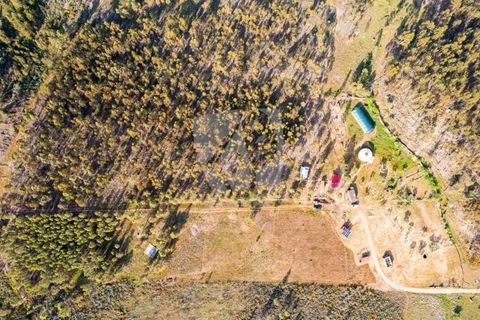 Terra a Ninho do Acor, Castelo Branco, Ninho do Acor - € 100.000 | Ref: H777 - foto 41