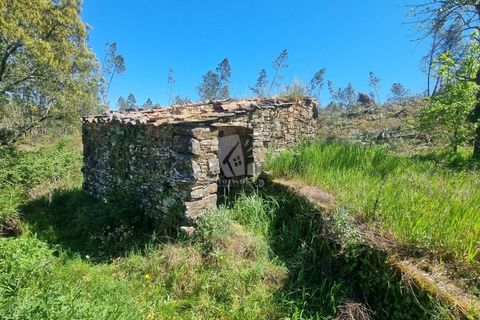 Helårsgrund i Castelo Branco, Castelo Branco, Castelo Branco - € 14.000 | Ref: H776 - foto 4
