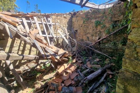 Helårsgrund i Castelo Branco, Castelo Branco, Castelo Branco - € 14.000 | Ref: H776 - foto 5