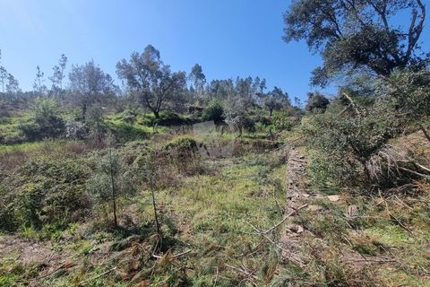 Helårsgrund i Castelo Branco, Castelo Branco, Castelo Branco - € 14.000 | Ref: H776 - foto 6