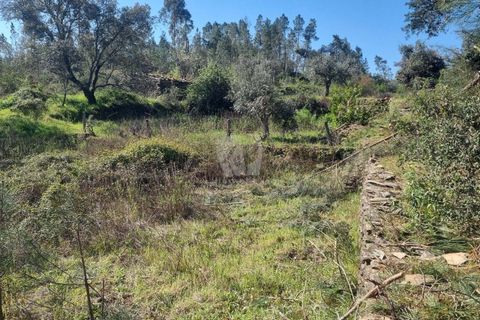 Helårsgrund i Castelo Branco, Castelo Branco, Castelo Branco - € 14.000 | Ref: H776 - foto 7