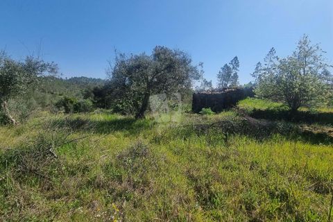 Helårsgrund i Castelo Branco, Castelo Branco, Castelo Branco - € 14.000 | Ref: H776 - foto 11